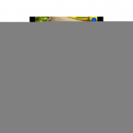 NordicTrack-resizeImg